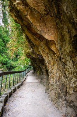 Shakadang Patikası boyunca uzanan patika, dingin bir nehrin kenarındaki canlı yaprakların arasından sarkan ahşap bir korkuluk içerir. Yürüyüşçüleri doğanın güzelliğine dalmaya davet eder..
