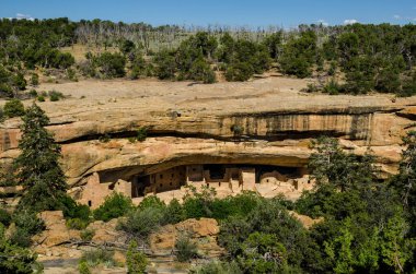 Mesa Verde Ulusal Parkları 'ndaki Cliff evleri, Colorado, ABD.