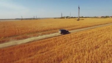 araba buğday tarlasında sürüyor.