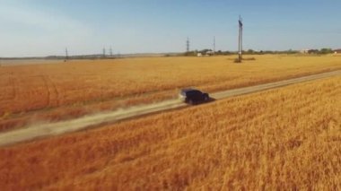 araba buğday tarlasında sürüyor.