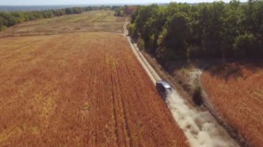 araba buğday tarlasında sürüyor.