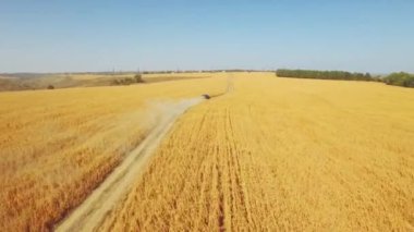 araba buğday tarlasında sürüyor.