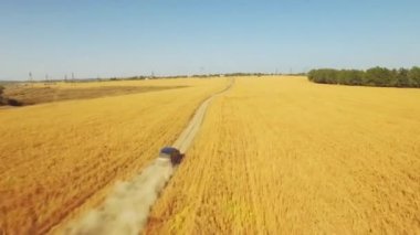 araba buğday tarlasında sürüyor.