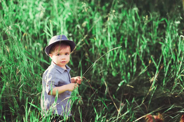 Niño Pequeño Camina Sobre Césped Verde Niño Juega Aire Libre —  Fotos de Stock