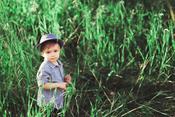 Malý Chlapec Kráčí Zeleném Trávníku Dítě Hraje Venku Měkké Zaměření — Stock fotografie
