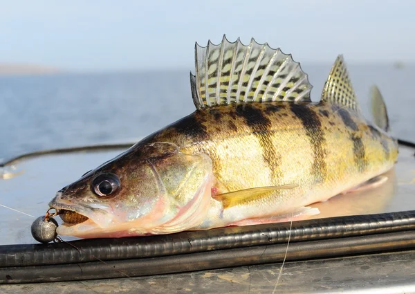 Pesca barco walleye — Foto de Stock