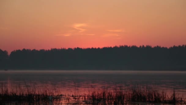 Восход солнца на озере — стоковое видео