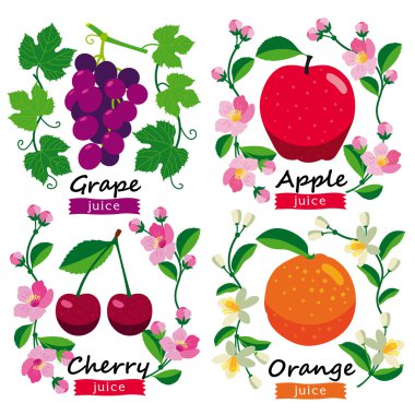 Meyve ve çiçek koleksiyonu