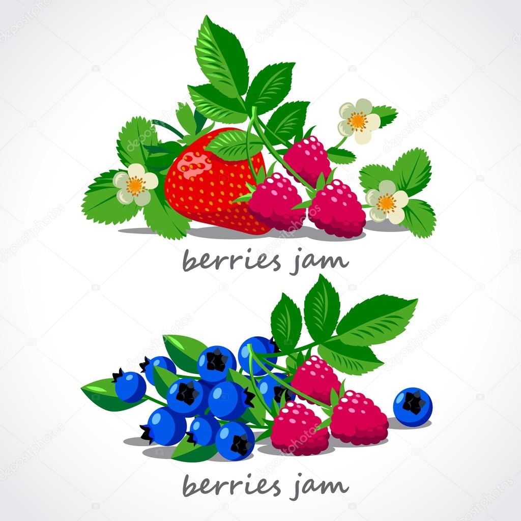 Berries and flowers vector set