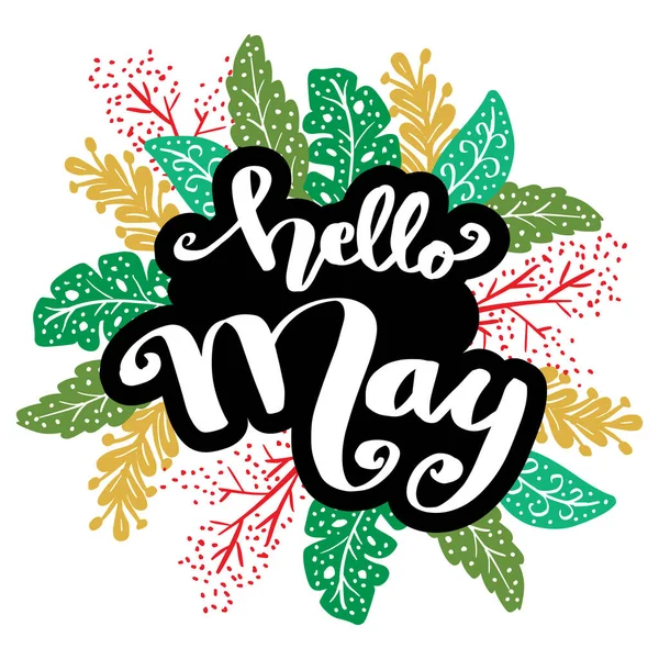 Hello May Greeting Card Hand Lettering — Stock Vector