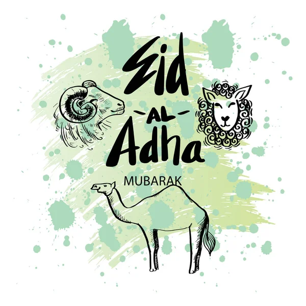 Eid Adha Χέρι Γράμματα Κατσίκα Αρνί Και Καμήλα Εικονογράφηση Για — Διανυσματικό Αρχείο