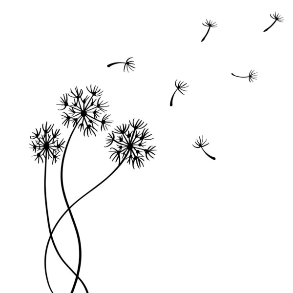 Diente León Boceto Flores Con Semillas Voladoras — Vector de stock