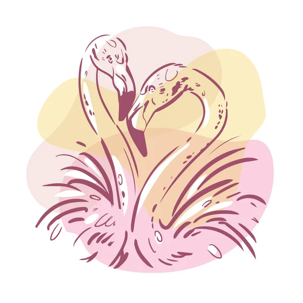 Dois Desenhos Flamingos Ilustração Desenhada Mão Cartaz Vintage — Vetor de Stock