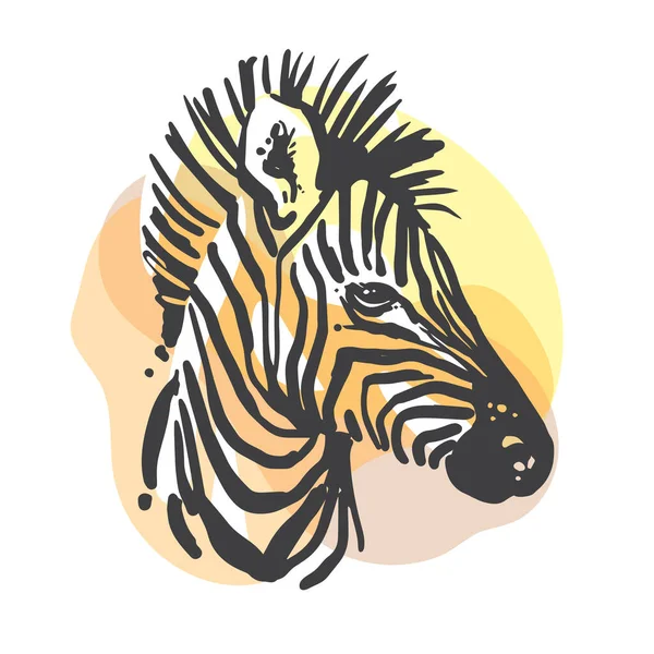 Zebra Sketch Portrait Hand Drawn Color Illustration Wild Animal Art — Stock Vector