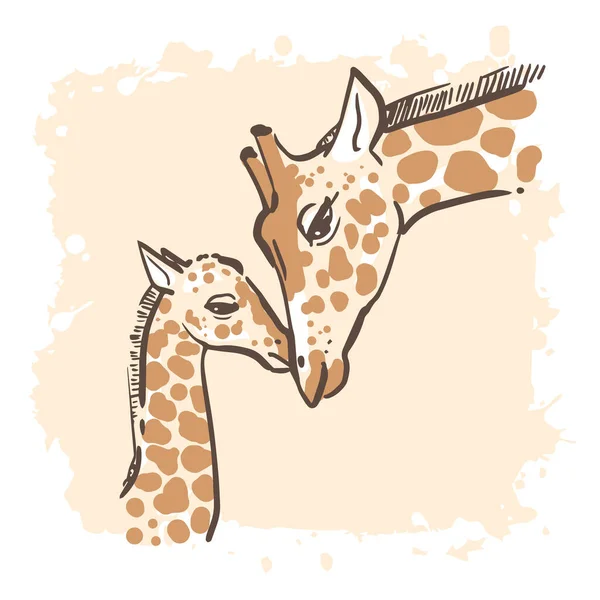 Sketchy portrait of two giraffes. Hand drawn color illustration. Simple line drawing — Stock Vector