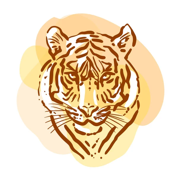 Retrato de boceto de tigre.. Ilustración a color dibujada a mano. Arte de los animales salvajes — Archivo Imágenes Vectoriales