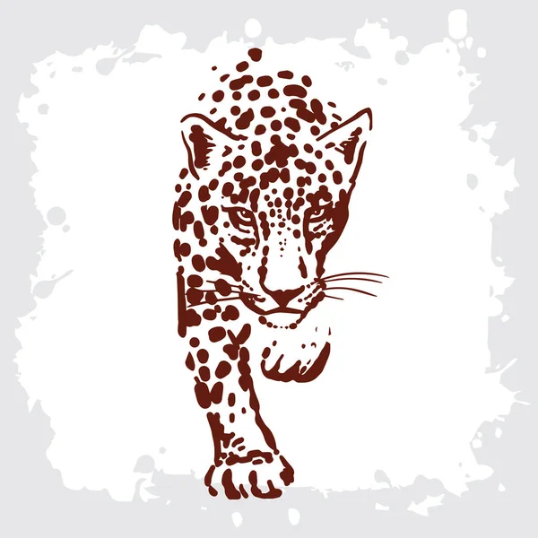 Leopar, beyaz bir arkaplanda basit bir çizim yapıyor. Vahşi hayvan resimleri..