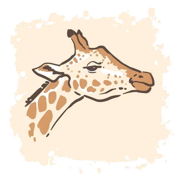 Giraffe Sketch Portrait Hand Drawn Color Illustration Vintage Poster — Stock Vector