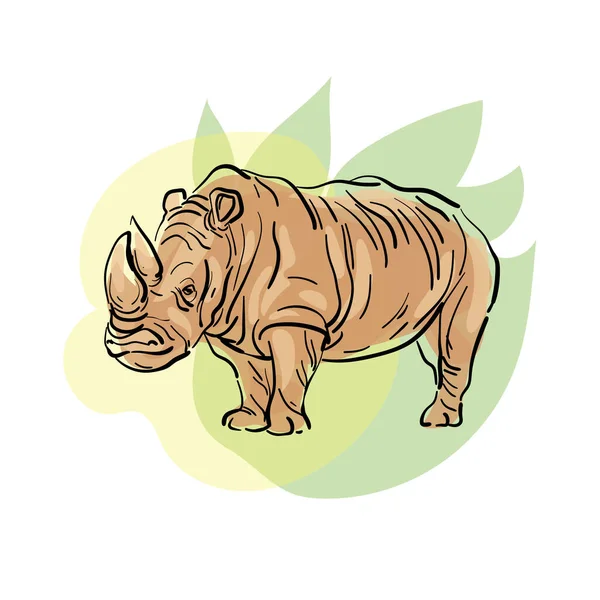 Rhino contour drawing. Wild African animal, color vector. Isolated on white. — Stock Vector