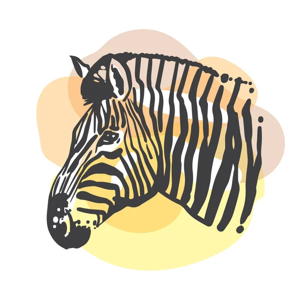 Zebra sketch portrait.. Hand drawn color illustration. Wild animal drawing — Stock Vector
