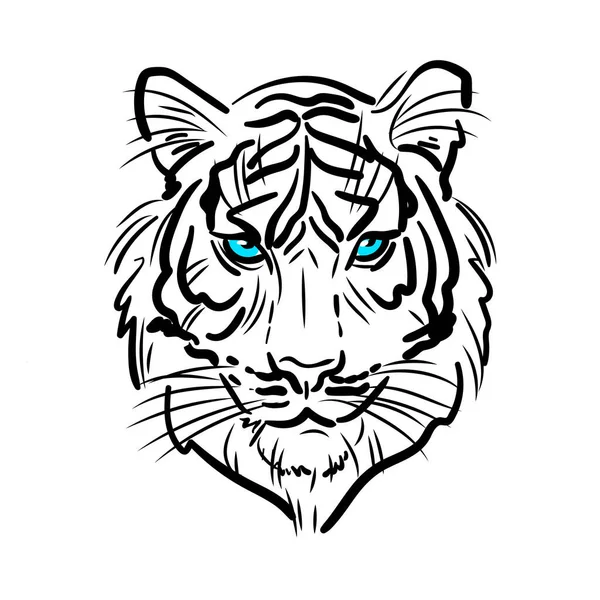 Esboço retrato de um tigre albino branco. Ilustração a cores desenhada à mão. Desenho de animais selvagens. —  Vetores de Stock