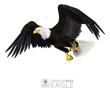 Amerikan kel kartal