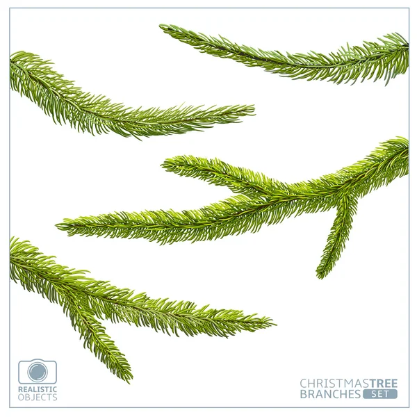 Vánoční strom jedle větví — Stockový vektor
