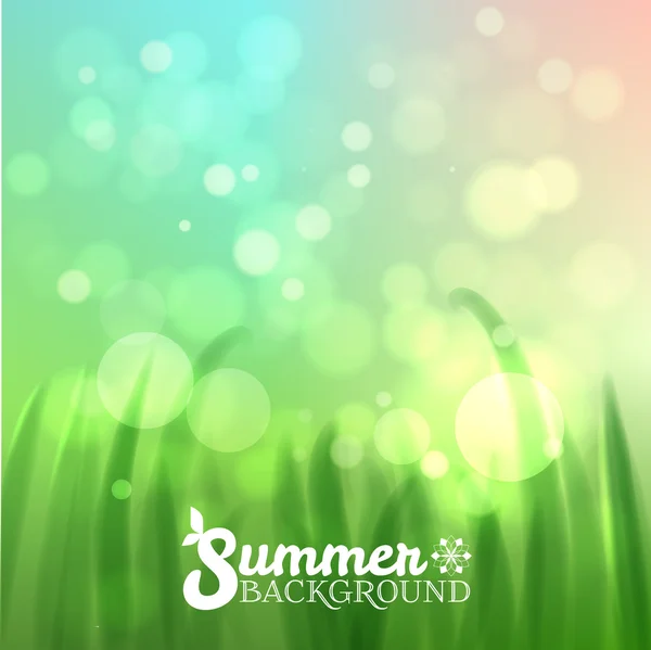 Leuchtend frische Sommervorlage — Stockvektor
