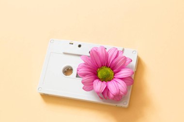 Taze müzik konsepti, ses kasetinin içindeki çiçek.