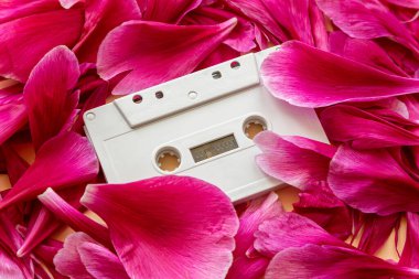 Romantik müzik konsepti, kırmızı yapraklı ses kaseti