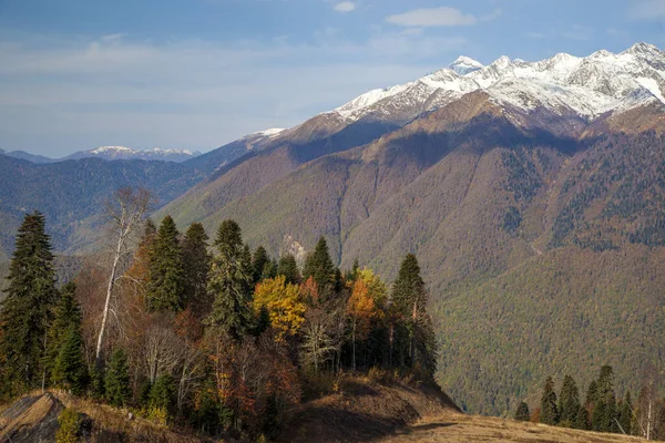 Krasnaya Polyana Sochi Montanhas Norte Cáucaso Picos Cobertos Neve Fundo — Fotografia de Stock