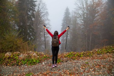 Aktif yaşam tarzı, kız İskandinav yürüyüşünün oradaki ormanda yürüyor. Sonbahar ormanında yürü,