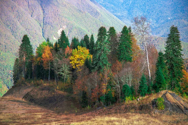 Krasnaya Polyana Sochi Montanhas Norte Cáucaso Picos Cobertos Neve Fundo — Fotografia de Stock