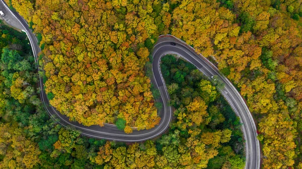 Smountain road along the sea, aerial vieweaside resort, Serpentine, aerial view of road along seaside of island with forest autumn on hill side back ground.