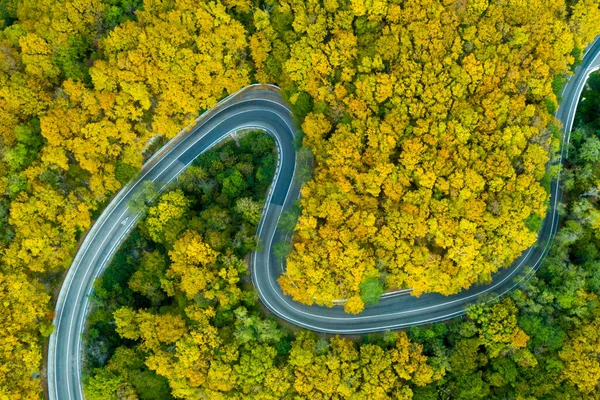 Smountain road along the sea, aerial vieweaside resort, Serpentine, aerial view of road along seaside of island with forest autumn on hill side back ground.