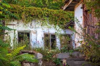 Rus köyünde terk edilmiş, eski ahşap bir ev..