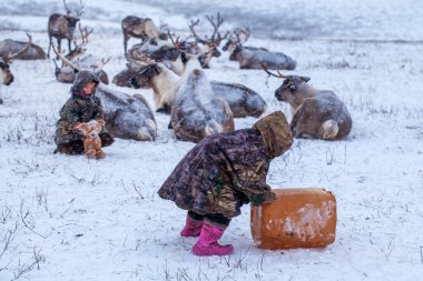 Yamal Yarımadası. Genç bir ren geyiği çobanı. Ren geyiği otlağındaki mutlu çocuk kışın bir oyuncakla oynuyor..