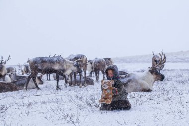 Yamal Yarımadası. Genç bir ren geyiği çobanı. Ren geyiği otlağındaki mutlu çocuk kışın bir oyuncakla oynuyor..