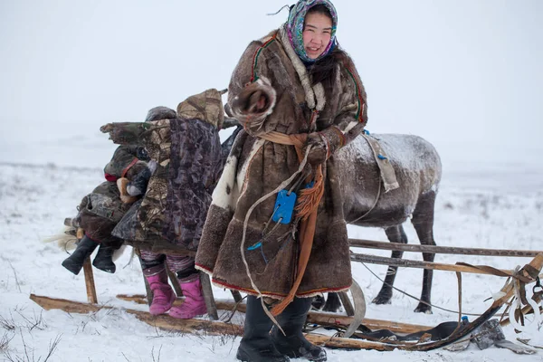 Yamal Félsziget Legészakibb Boldog Fiú Lány Rénszarvas Pásztorlegelőn Egy Hideg — Stock Fotó