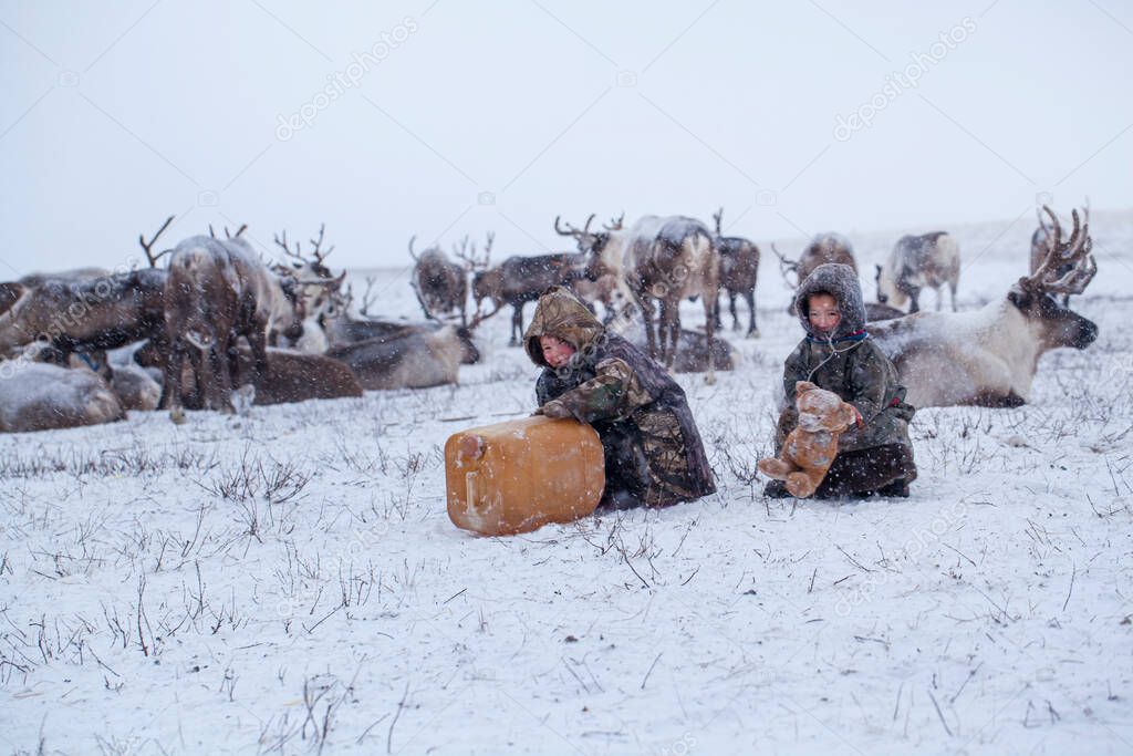 The Yamal Peninsula. Reindeer with a young reindeer herder. Happy boy on reindeer herder pasture playing with a toys in winter.