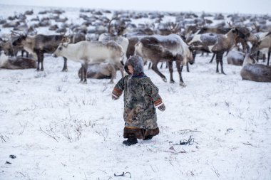 Yamal Yarımadası. Genç bir ren geyiği çobanı. Ren geyiği otlağındaki mutlu çocuk kışın bir oyuncakla oynuyor..