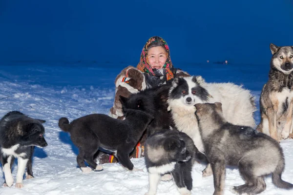 Egy Tundrák Északi Lakosainak Nemzeti Téli Ruhájában Játszik Egy Kutyával — Stock Fotó