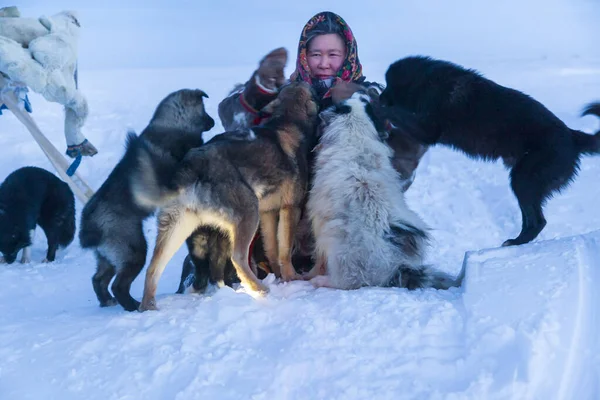 Egy Tundrák Északi Lakosainak Nemzeti Téli Ruhájában Játszik Egy Kutyával — Stock Fotó