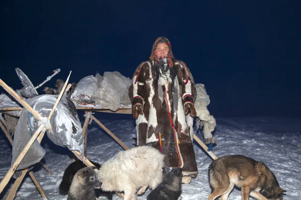 Woman National Winter Clothes Northern Inhabitants Tundra Plays Dogs Polar — Stock Photo, Image