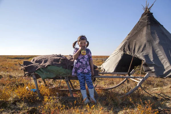 Extremo Norte Yamal Passado Povo Nenets Habitação Dos Povos Norte — Fotografia de Stock