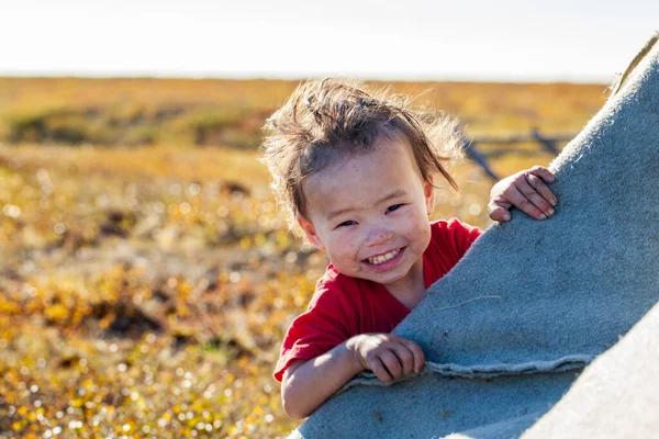 Extremo Norte Yamal Vida Gente Nenets Vivienda Los Pueblos Del — Foto de Stock