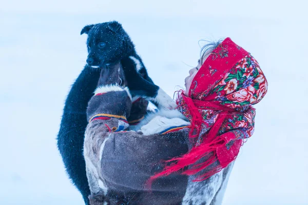一个身穿北方冻土带居民冬季民族服装的小女孩与一只狗玩耍 — 图库照片