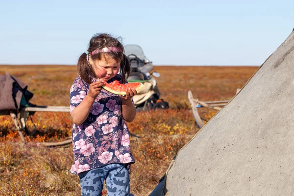 Ekstremalna Północ Yamal Życie Ludzi Nenets Zamieszkanie Mieszkańców Północy Dziewczyna — Zdjęcie stockowe