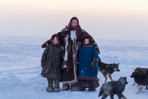 Yamalo Nenets Okrug Autônomo Extremo Norte Família Nenets Nas Roupas — Fotografia de Stock