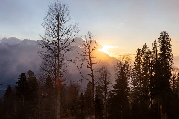 Krasnaya Polyana Sochi Montanhas Norte Cáucaso Picos Cobertos Neve Fundo — Fotografia de Stock